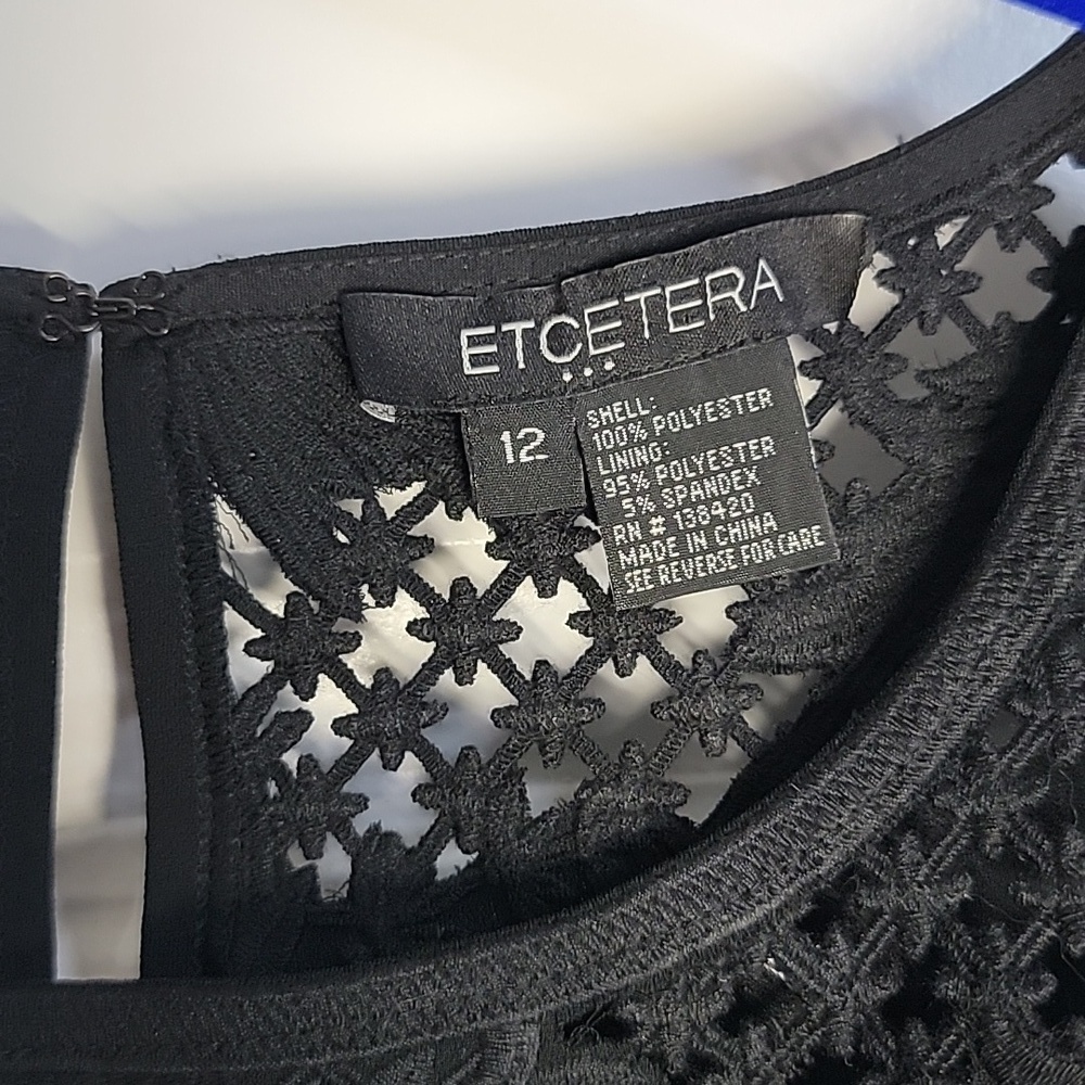 ETCETERA BLACK LACE EMBROIDERED SHEATH DRESS SZ 12 - Picture 5 of 10